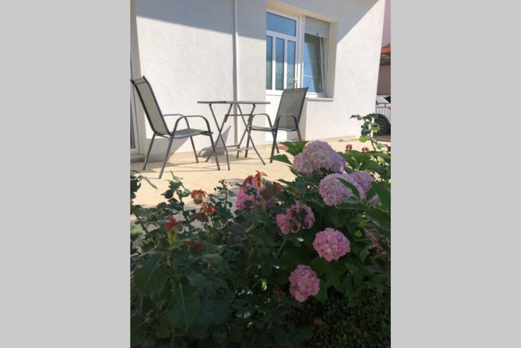 Apartament Marin